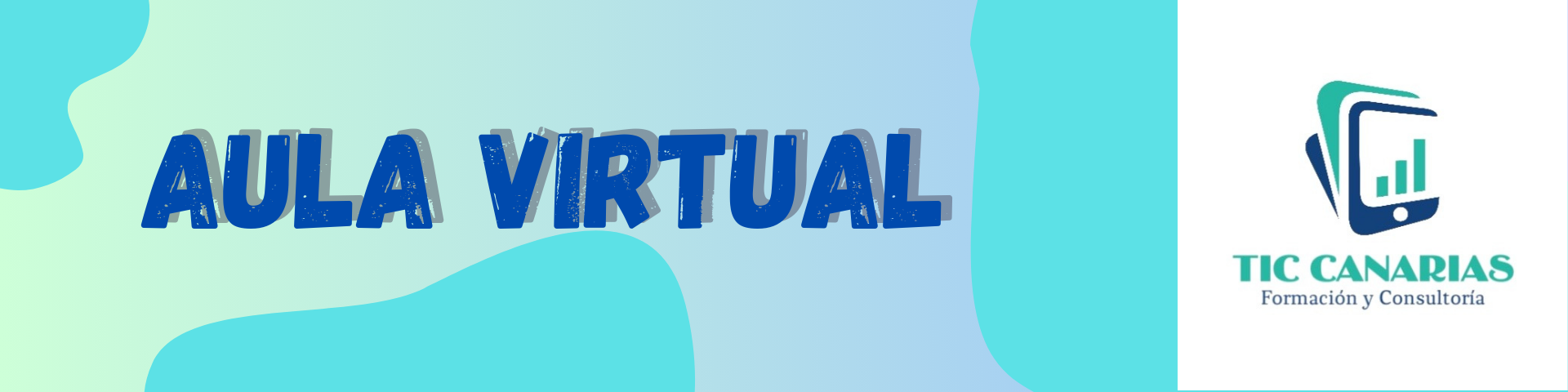 Encabezado aula virtual